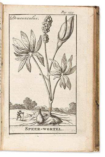Blankaart, Steven (1650-1704) De Nederlandschen Herbarius of Kruid Boek.